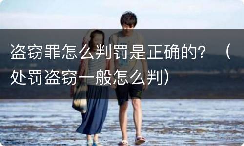 盗窃罪怎么判罚是正确的？（处罚盗窃一般怎么判）