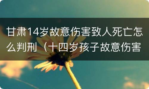 甘肃14岁故意伤害致人死亡怎么判刑（十四岁孩子故意伤害致人死亡）