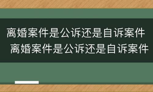 离婚案件是公诉还是自诉案件 离婚案件是公诉还是自诉案件呢