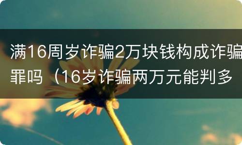 满16周岁诈骗2万块钱构成诈骗罪吗（16岁诈骗两万元能判多少年）
