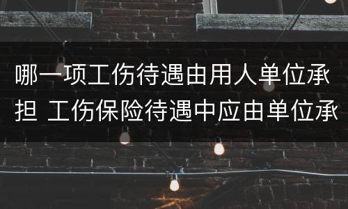 哪一项工伤待遇由用人单位承担 工伤保险待遇中应由单位承担的部分