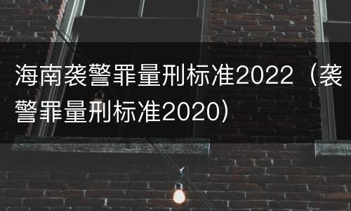 海南袭警罪量刑标准2022（袭警罪量刑标准2020）