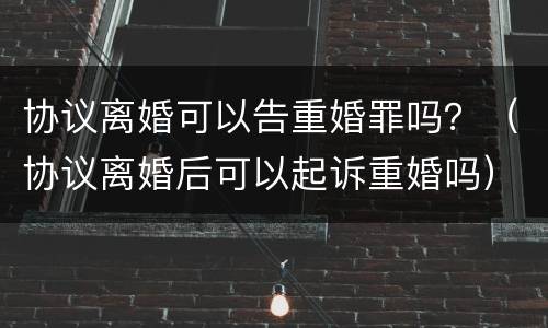 协议离婚可以告重婚罪吗？（协议离婚后可以起诉重婚吗）