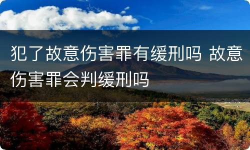 犯了故意伤害罪有缓刑吗 故意伤害罪会判缓刑吗