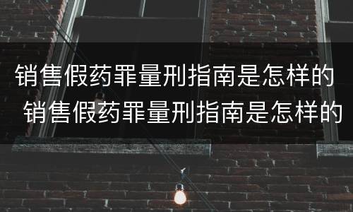 销售假药罪量刑指南是怎样的 销售假药罪量刑指南是怎样的法律