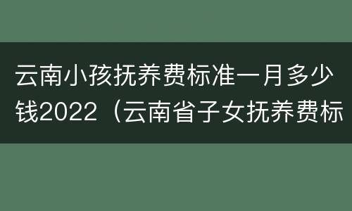 云南小孩抚养费标准一月多少钱2022（云南省子女抚养费标准）