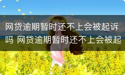 网贷逾期暂时还不上会被起诉吗 网贷逾期暂时还不上会被起诉吗怎么办