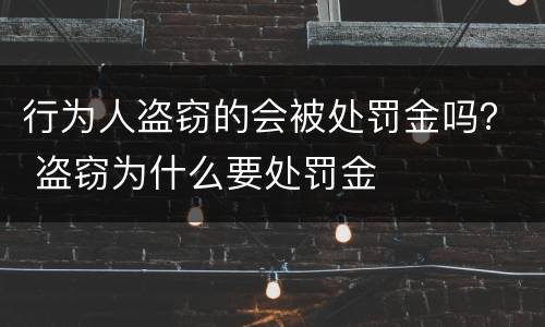 行为人盗窃的会被处罚金吗？ 盗窃为什么要处罚金