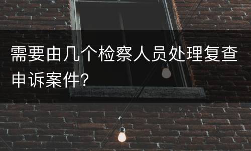 需要由几个检察人员处理复查申诉案件？