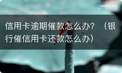 信用卡逾期催款怎么办？（银行催信用卡还款怎么办）