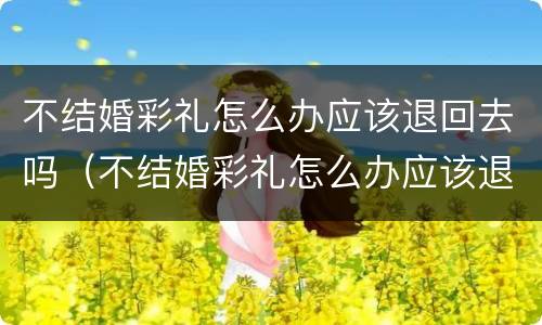 不结婚彩礼怎么办应该退回去吗（不结婚彩礼怎么办应该退回去吗男方）
