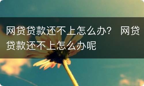 网贷贷款还不上怎么办？ 网贷贷款还不上怎么办呢