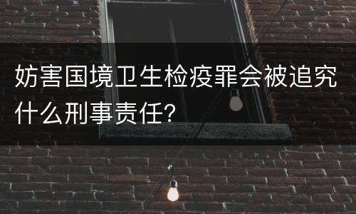 妨害国境卫生检疫罪会被追究什么刑事责任？
