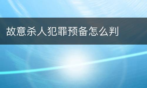 故意杀人犯罪预备怎么判