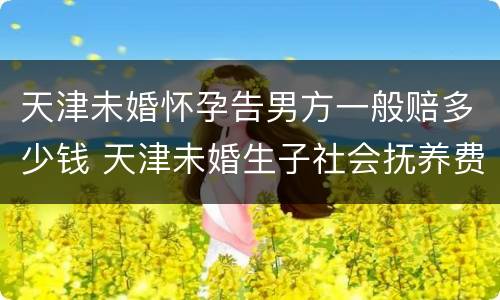 天津未婚怀孕告男方一般赔多少钱 天津未婚生子社会抚养费