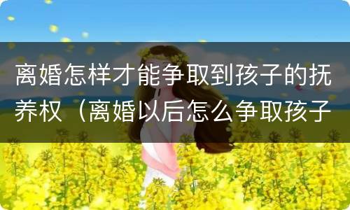 离婚怎样才能争取到孩子的抚养权（离婚以后怎么争取孩子抚养权）