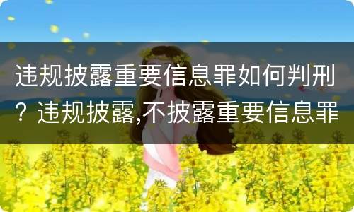 违规披露重要信息罪如何判刑? 违规披露,不披露重要信息罪判例