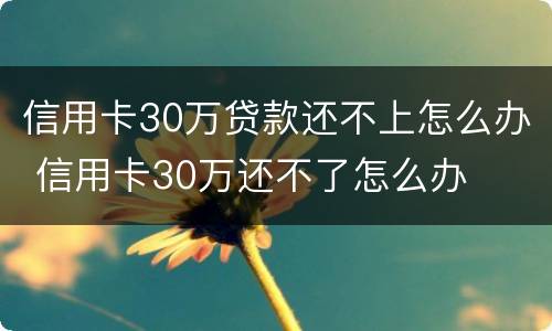 信用卡30万贷款还不上怎么办 信用卡30万还不了怎么办