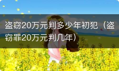 盗窃20万元判多少年初犯（盗窃罪20万元判几年）