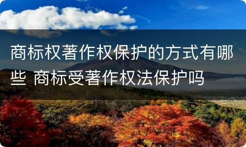 商标权著作权保护的方式有哪些 商标受著作权法保护吗