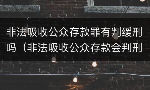 非法吸收公众存款罪有判缓刑吗（非法吸收公众存款会判刑吗）