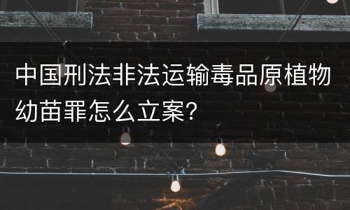 中国刑法非法运输毒品原植物幼苗罪怎么立案？