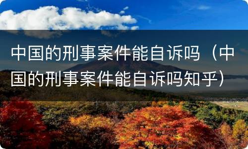 中国的刑事案件能自诉吗（中国的刑事案件能自诉吗知乎）