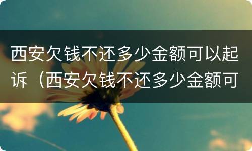 西安欠钱不还多少金额可以起诉（西安欠钱不还多少金额可以起诉法院）