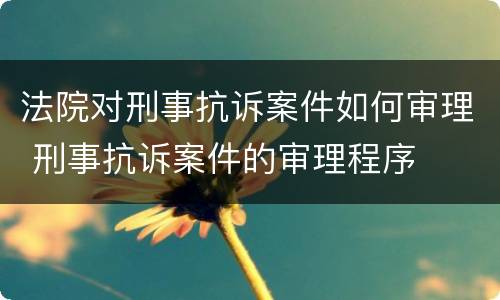 法院对刑事抗诉案件如何审理 刑事抗诉案件的审理程序