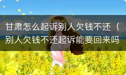 甘肃怎么起诉别人欠钱不还（别人欠钱不还起诉能要回来吗）