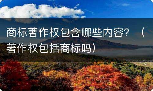 商标著作权包含哪些内容？（著作权包括商标吗）