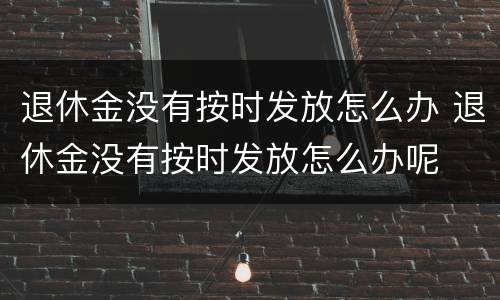 退休金没有按时发放怎么办 退休金没有按时发放怎么办呢
