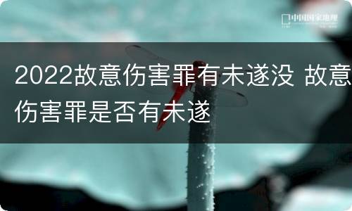 2022故意伤害罪有未遂没 故意伤害罪是否有未遂
