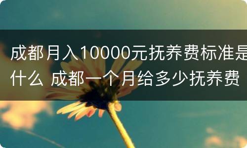 成都月入10000元抚养费标准是什么 成都一个月给多少抚养费