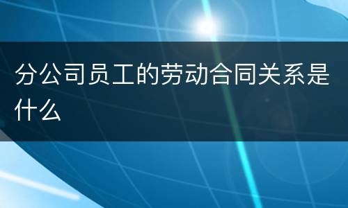 分公司员工的劳动合同关系是什么