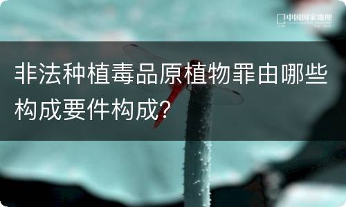 非法种植毒品原植物罪由哪些构成要件构成？