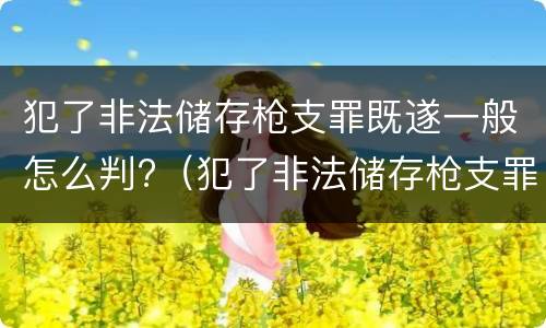 犯了非法储存枪支罪既遂一般怎么判?（犯了非法储存枪支罪既遂一般怎么判刑）