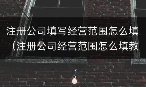 注册公司填写经营范围怎么填（注册公司经营范围怎么填教程）
