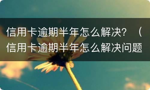 信用卡逾期半年怎么解决？（信用卡逾期半年怎么解决问题）