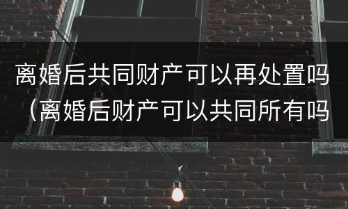 离婚后共同财产可以再处置吗（离婚后财产可以共同所有吗）