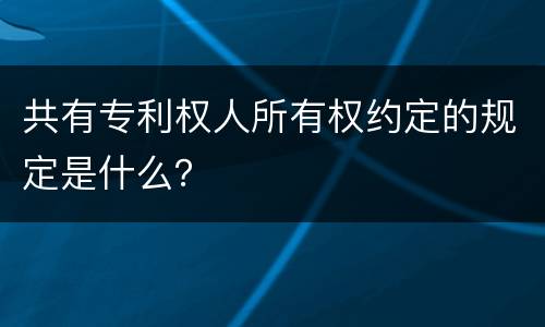 共有专利权人所有权约定的规定是什么？