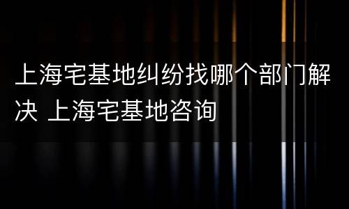 上海宅基地纠纷找哪个部门解决 上海宅基地咨询