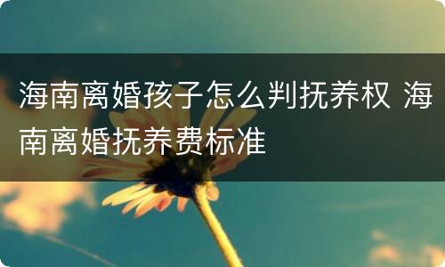 海南离婚孩子怎么判抚养权 海南离婚抚养费标准