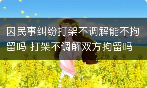 因民事纠纷打架不调解能不拘留吗 打架不调解双方拘留吗