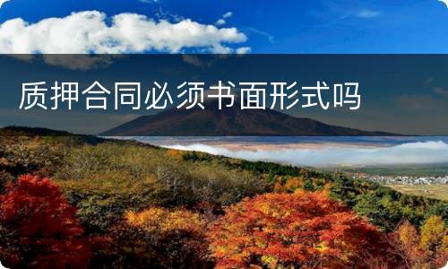 质押合同必须书面形式吗