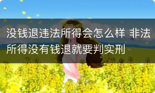 没钱退违法所得会怎么样 非法所得没有钱退就要判实刑