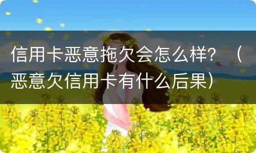 信用卡恶意拖欠会怎么样？（恶意欠信用卡有什么后果）