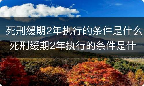 死刑缓期2年执行的条件是什么 死刑缓期2年执行的条件是什么呢