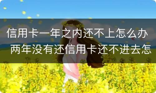 信用卡一年之内还不上怎么办 两年没有还信用卡还不进去怎么办