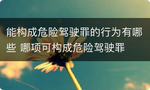 能构成危险驾驶罪的行为有哪些 哪项可构成危险驾驶罪